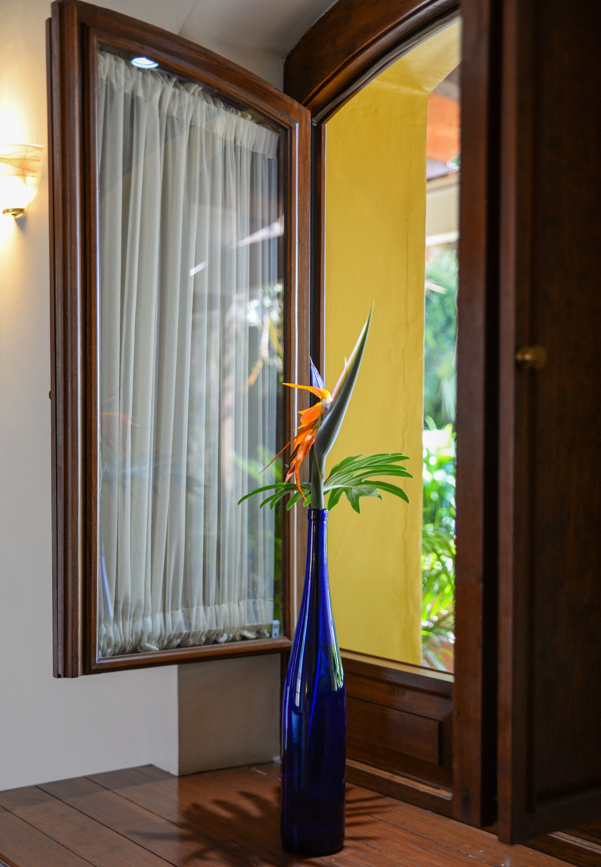 Una habitación con piso de madera, una ventana con cortinas translúcidas y un florero azul con una planta.