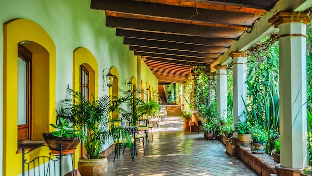 Un pasillo cubierto con paredes amarillas, plantas en macetas y mobiliario exterior.