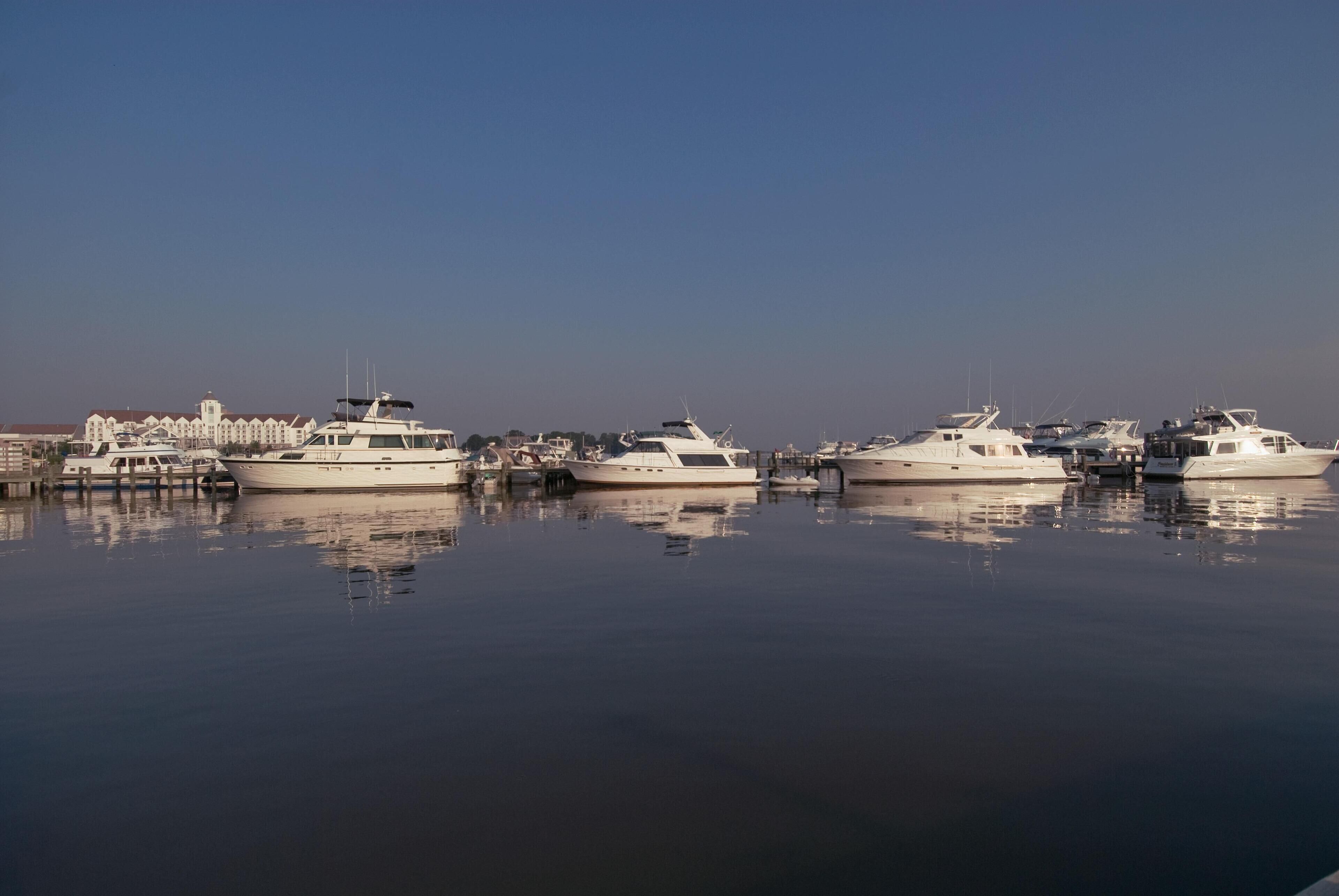 A marina with several white yachts docked, a building with a tower, and calm water reflecting the boats.