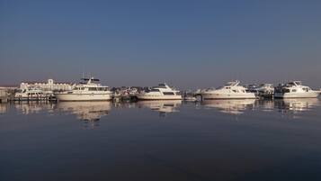A marina with several white yachts docked, a building with a tower, and calm water reflecting the boats.