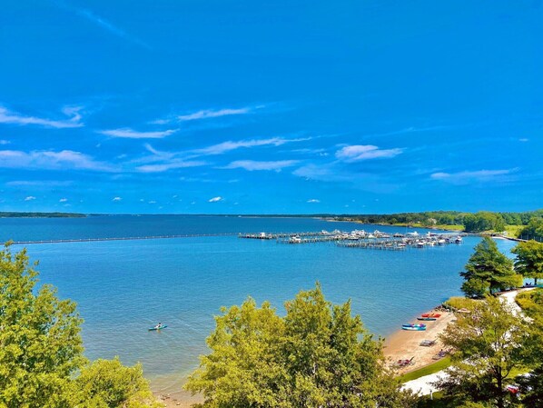 A marina with boats docked, a sandy beach, and a clear blue sky. - Hyatt Regency Chesapeake Bay (Cambridge)