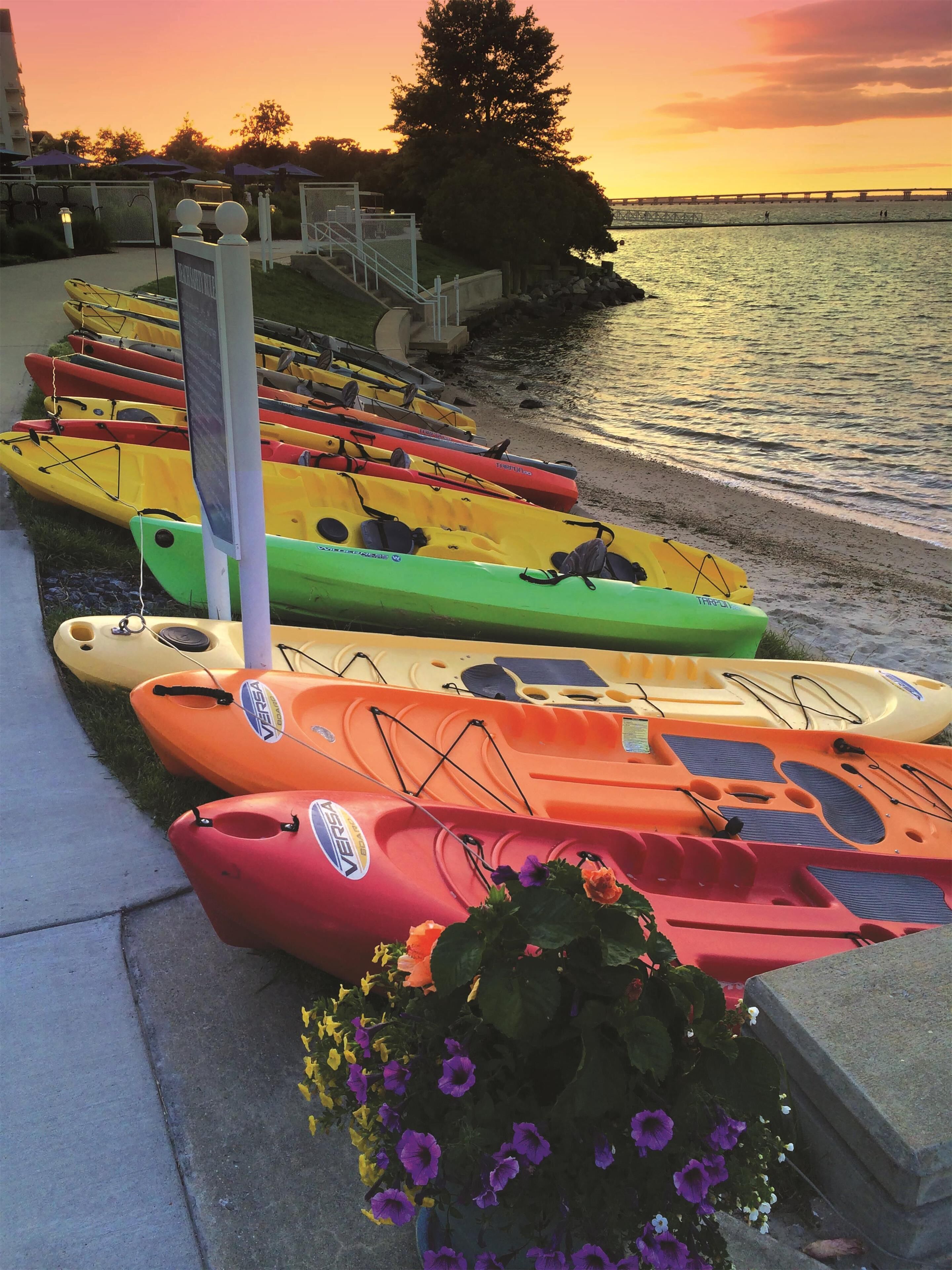 A row of kayaks lined up on a waterfront promenade with a sunset in the background.