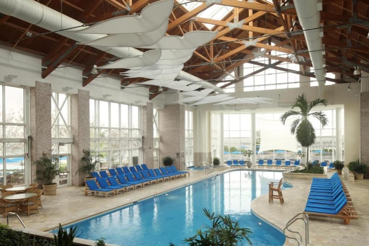 An indoor swimming pool with blue lounge chairs, large windows, and a high wooden ceiling.