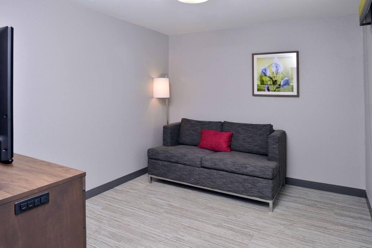 A room with a grey sofa, a red pillow, a framed picture on the wall, a lamp, and a television on a wooden stand.