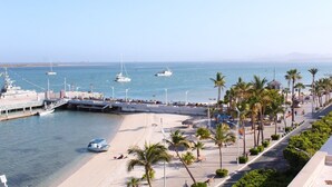 Una marina costera con barcos amarrados, una playa de arena y un paseo marítimo bordeado de palmeras.