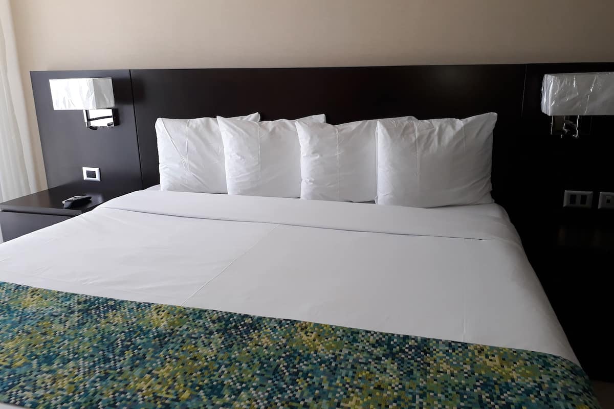 Standard King Room | Iron/ironing board, free WiFi, bed sheets, alarm clocks