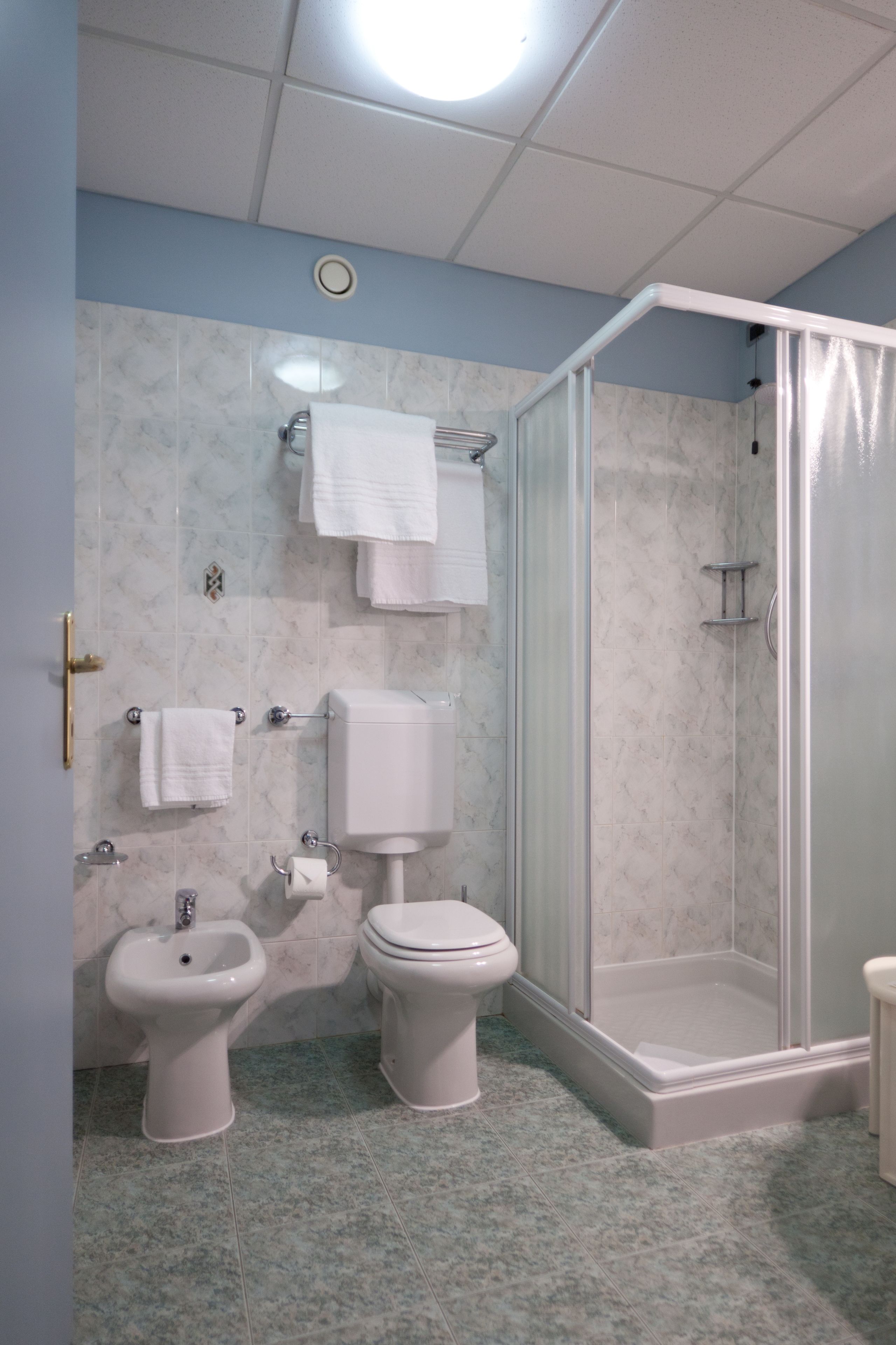 shower, free toiletries, hair dryer, bidet