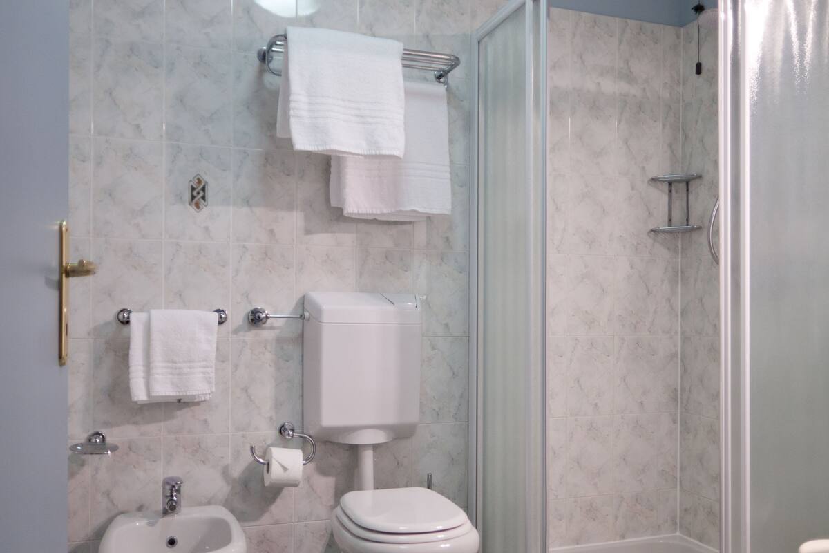 shower, free toiletries, hair dryer, bidet