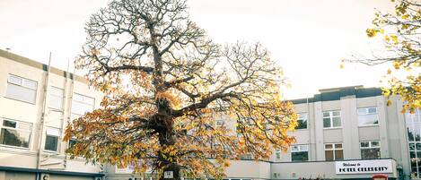 Fachada de la propiedad