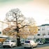 Hotel Celebrity Bournemouth East Cliff by Villare Hotels