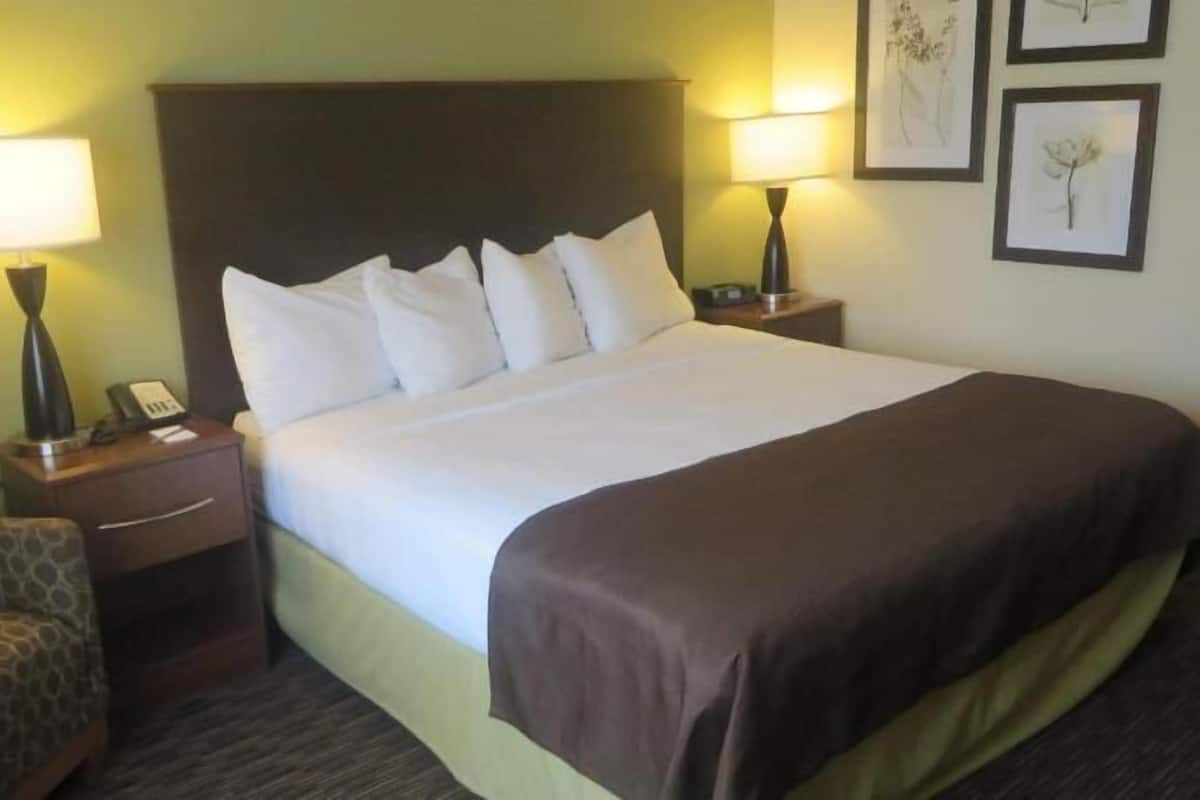 Desk, soundproofing, iron/ironing board, free cots/infant beds