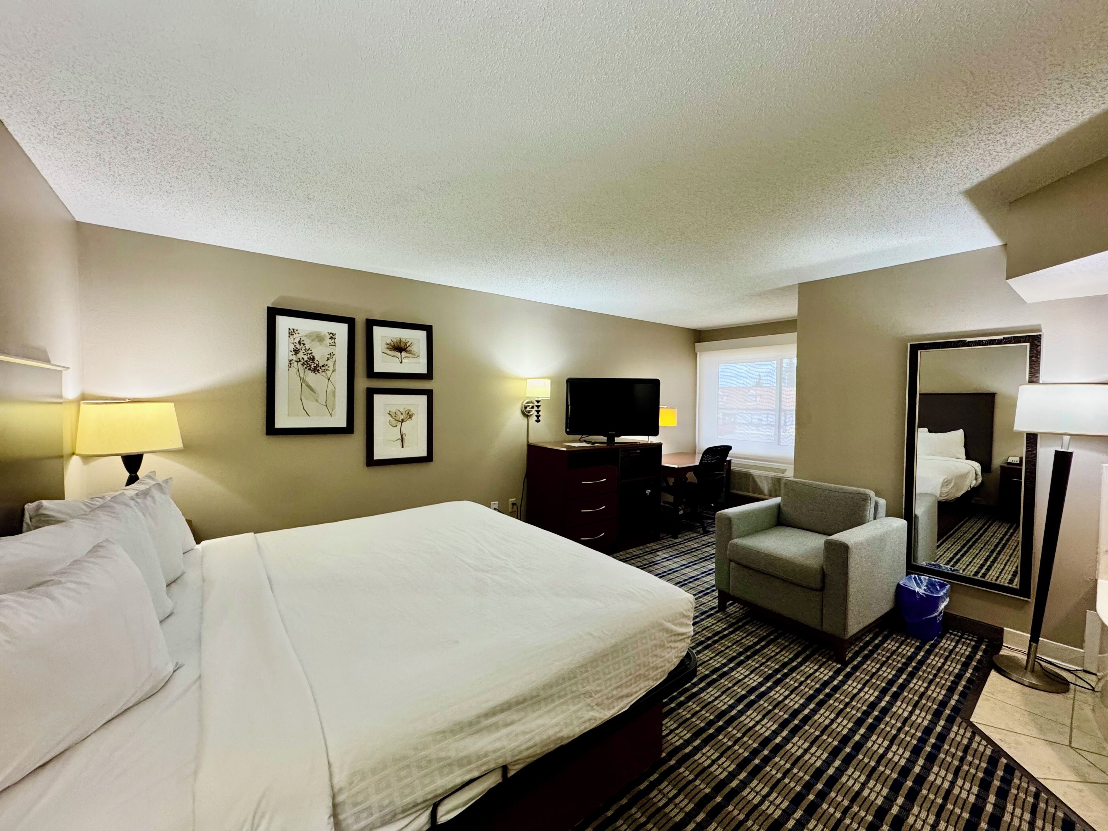Studio Suite, 1 King Bed, Non Smoking | Desk, soundproofing, iron/ironing board, free cribs/infant beds