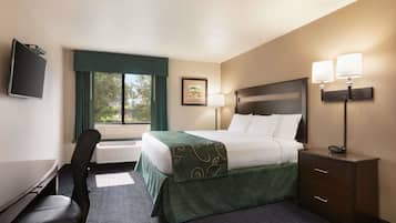 Habitación de hotel con cama, lámparas de noche, escritorio, silla, televisor y ventana con cortinas.