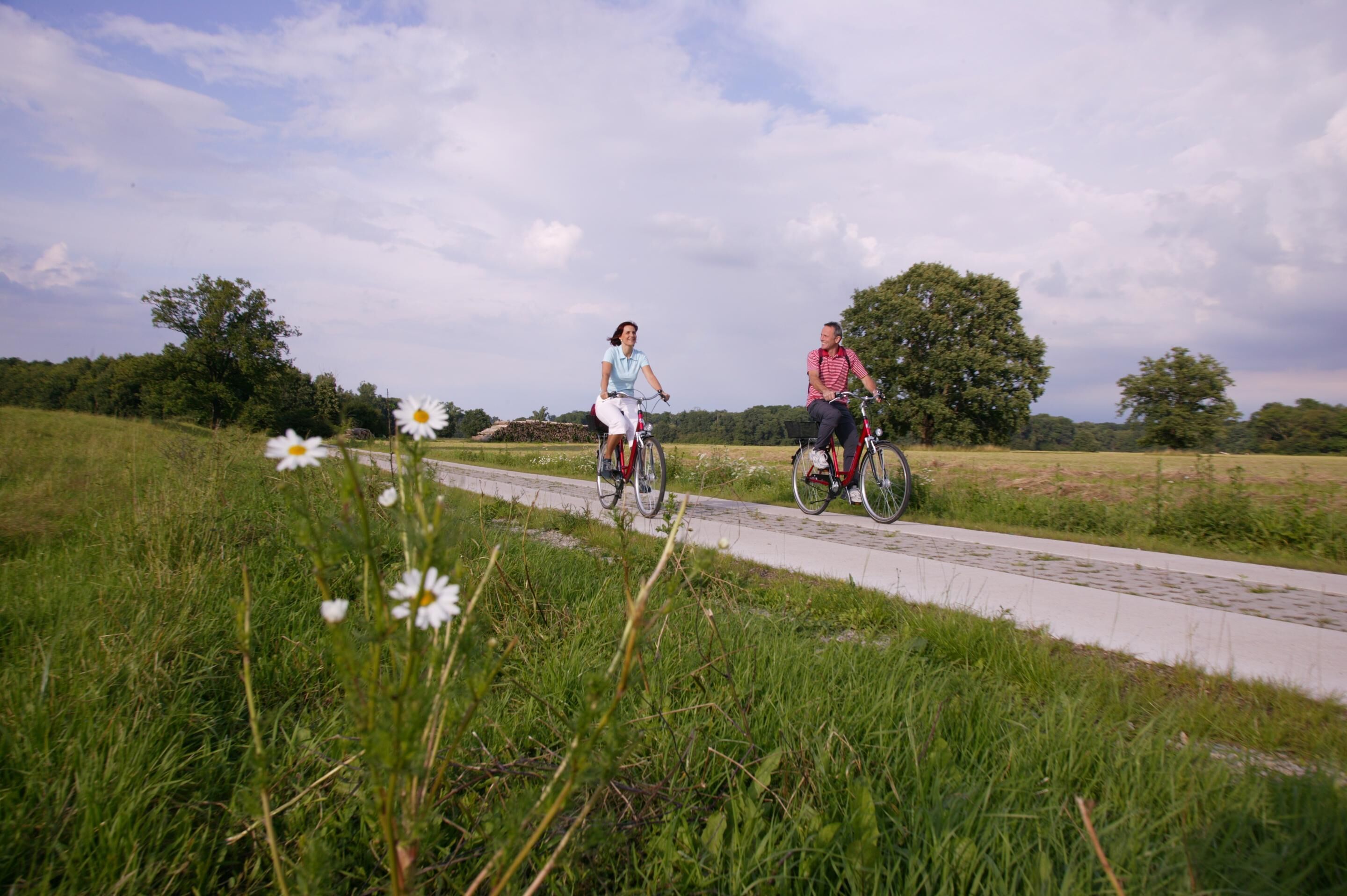 Dos personas montando en bicicleta por un sendero pavimentado en una zona con césped y árboles al fondo.