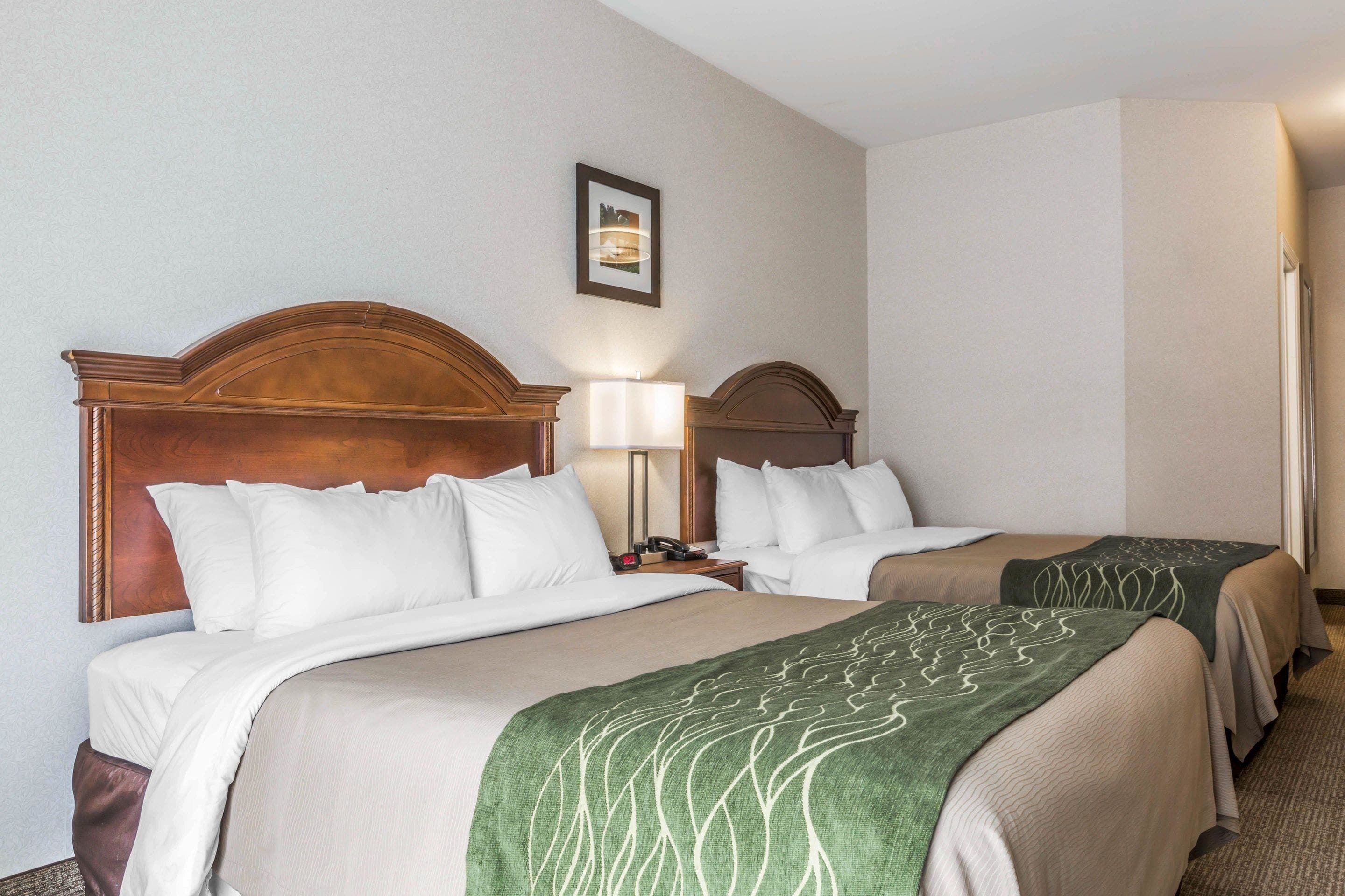Foto - Comfort Inn & Suites South Burlington near University