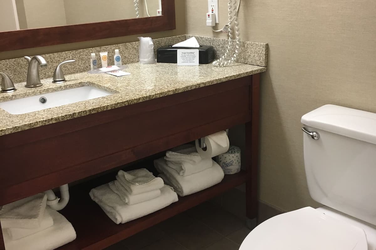 Combined shower/bathtub, free toiletries, hair dryer, towels