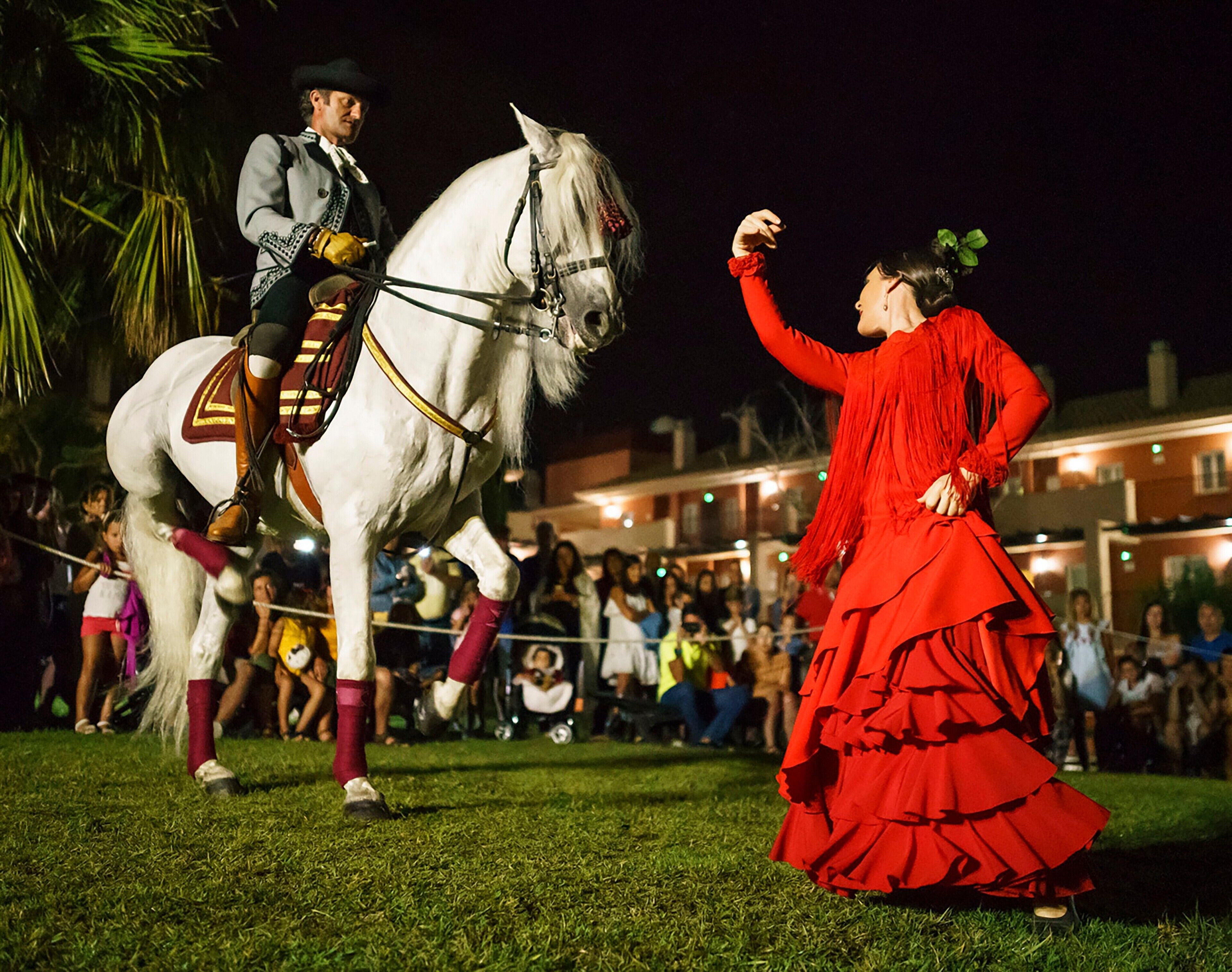 A person in a red dress performing with a white horse in a grassy outdoor area at night.