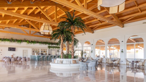 A spacious lobby with a high wooden ceiling, a central palm tree, and a bar area with seating.