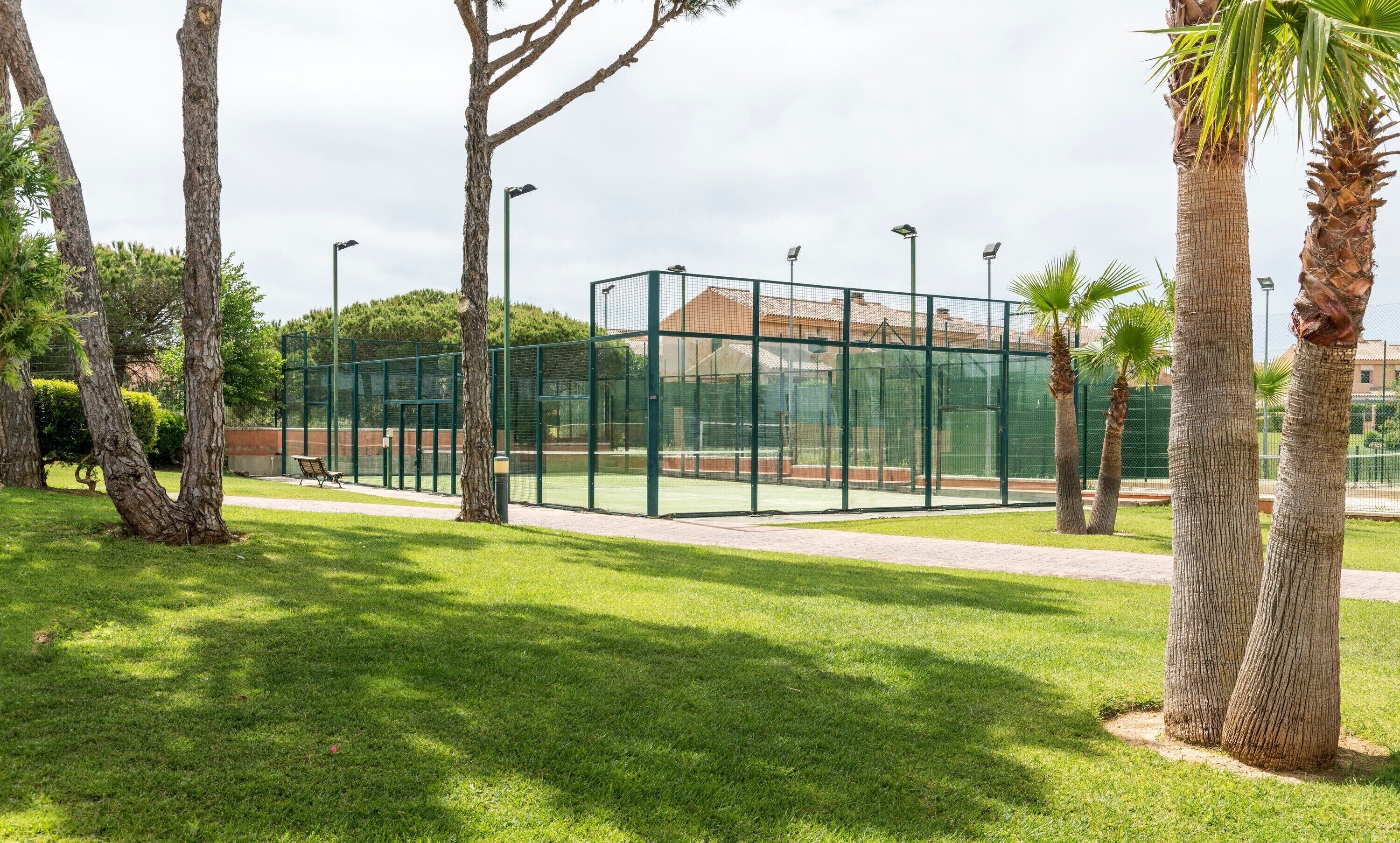 Un court de tennis entouré d’une clôture verte, bordé de pelouse et de palmiers.