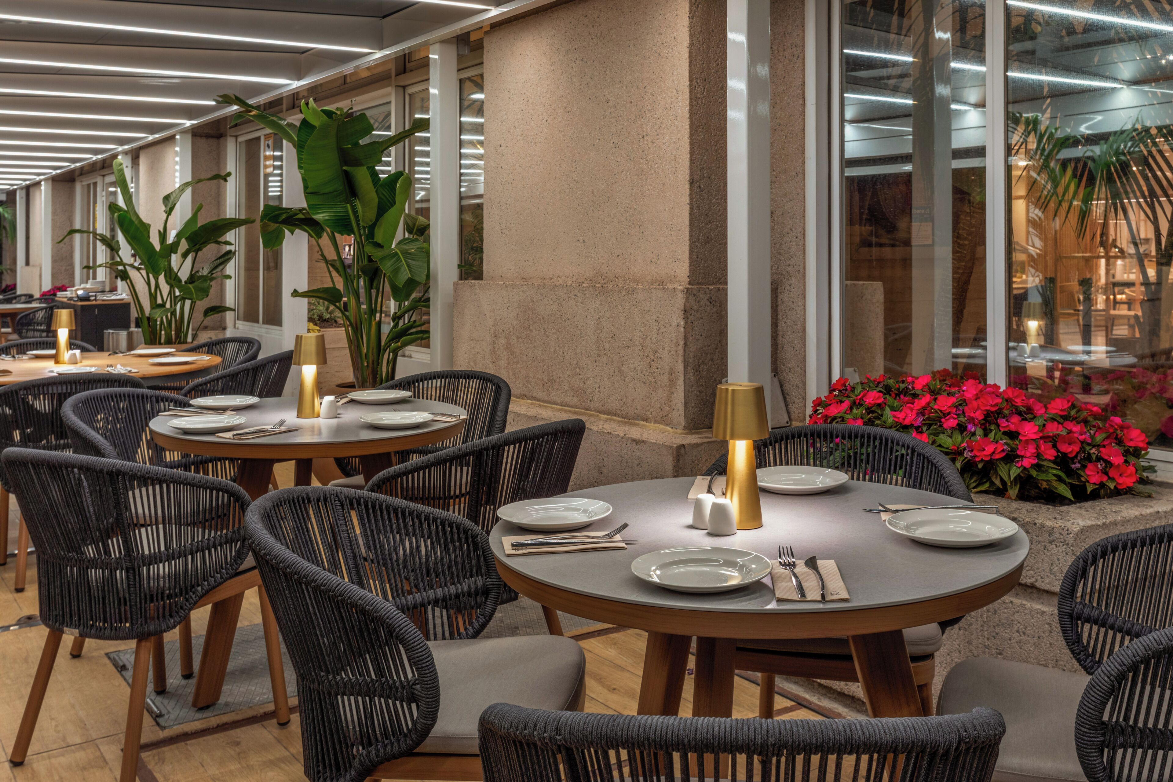 Un restaurante con mesas redondas, sillas de mimbre y plantas en macetas.