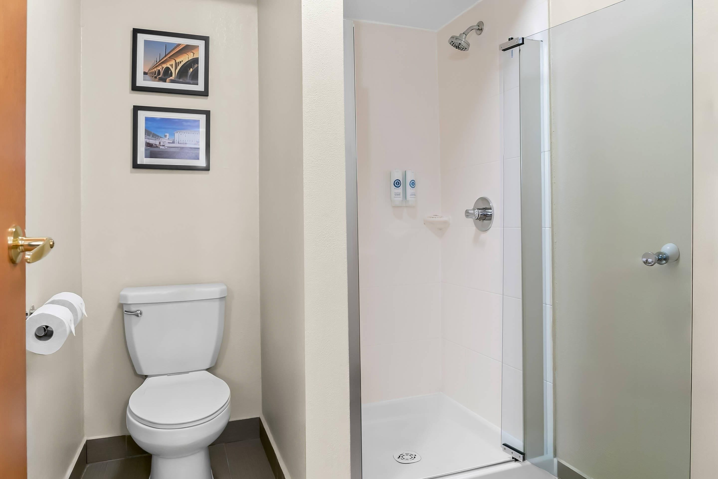 Un baño con inodoro, ducha y dos cuadros en la pared.