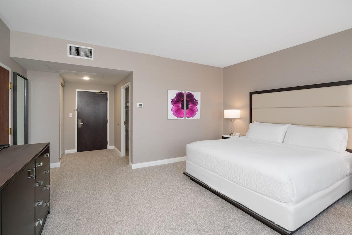 Hypo-allergenic bedding, desk, blackout drapes, iron/ironing board