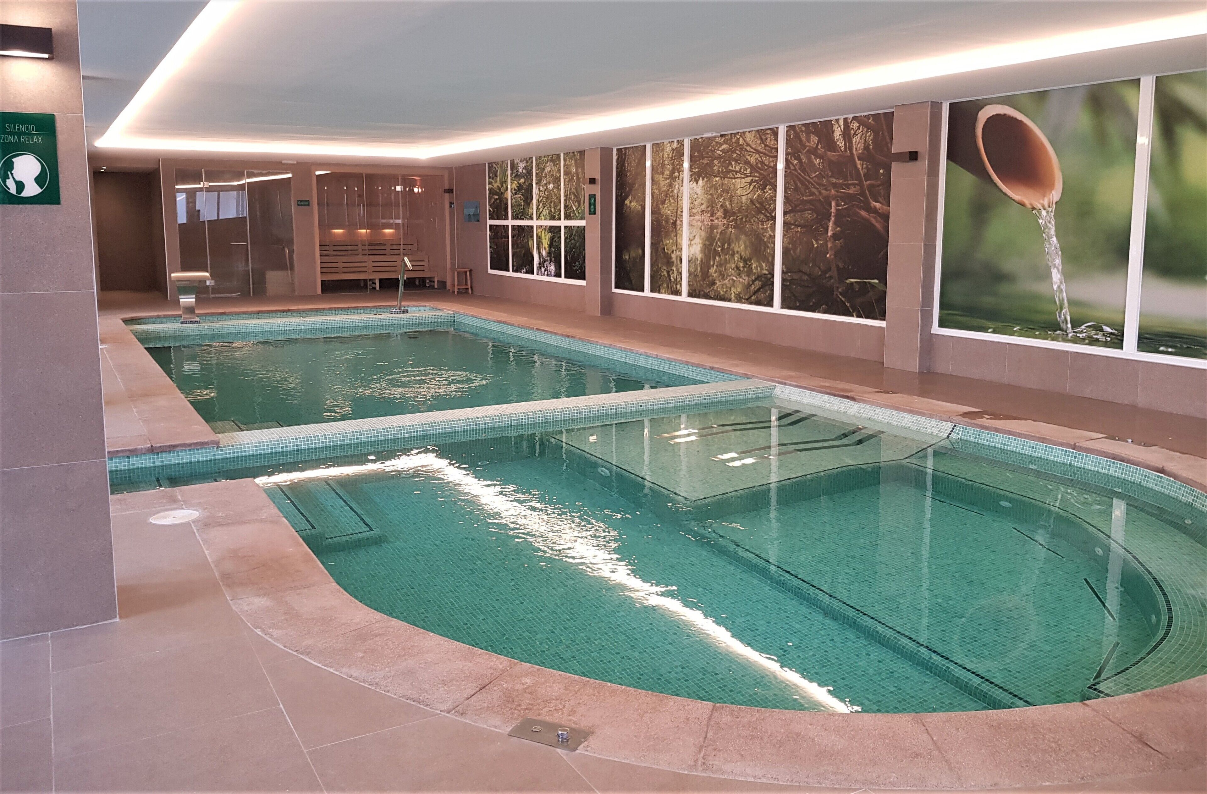 Sauna, hot tub, steam room