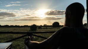 Game viewing - Gooderson Bushlands Game Lodge (Hluhluwe)
