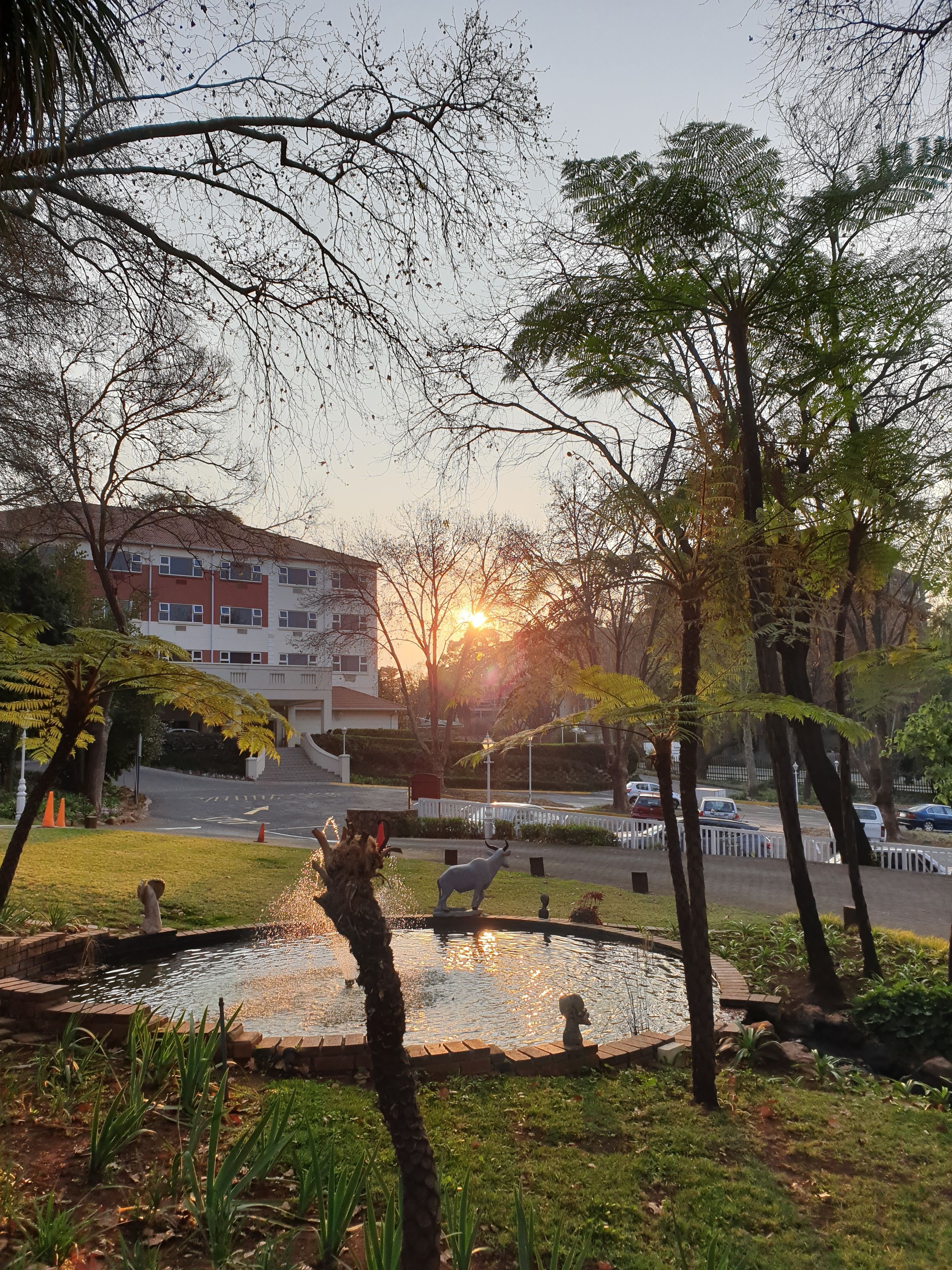 A park with a fountain, trees, and a building in the background.
