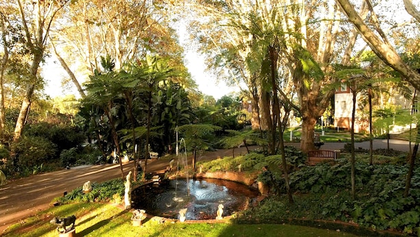 A garden with a pond, statues, and a building in the background.
