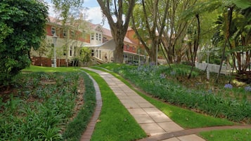 Un sendero serpentea por un jardín lleno de plantas y árboles.