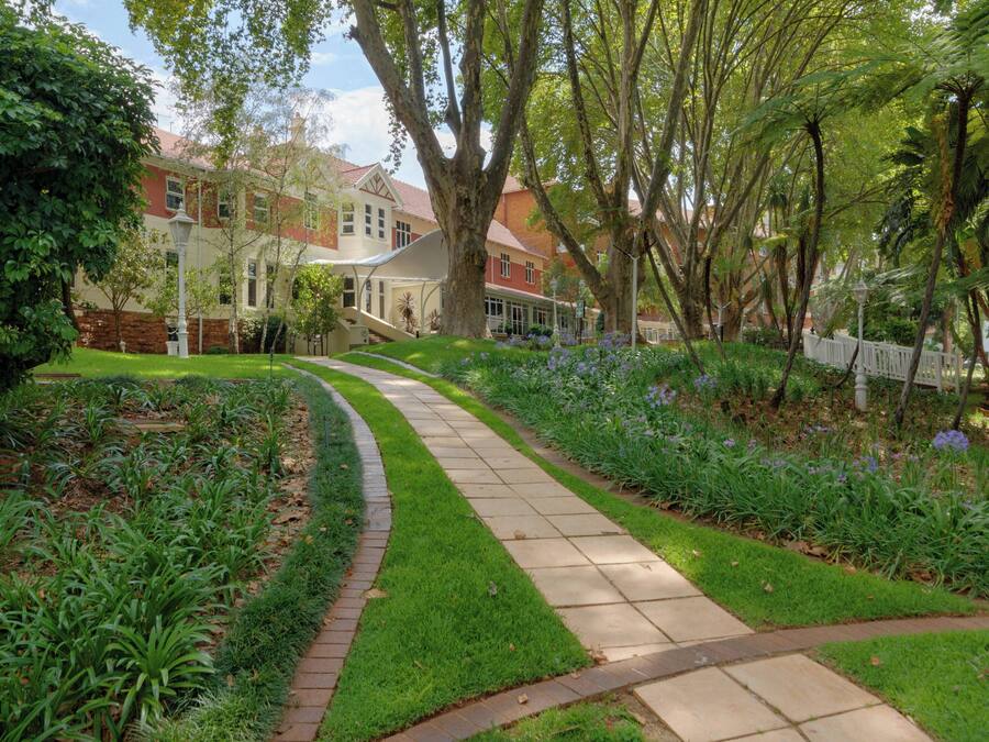 Un sendero serpentea por un jardín lleno de plantas y árboles.