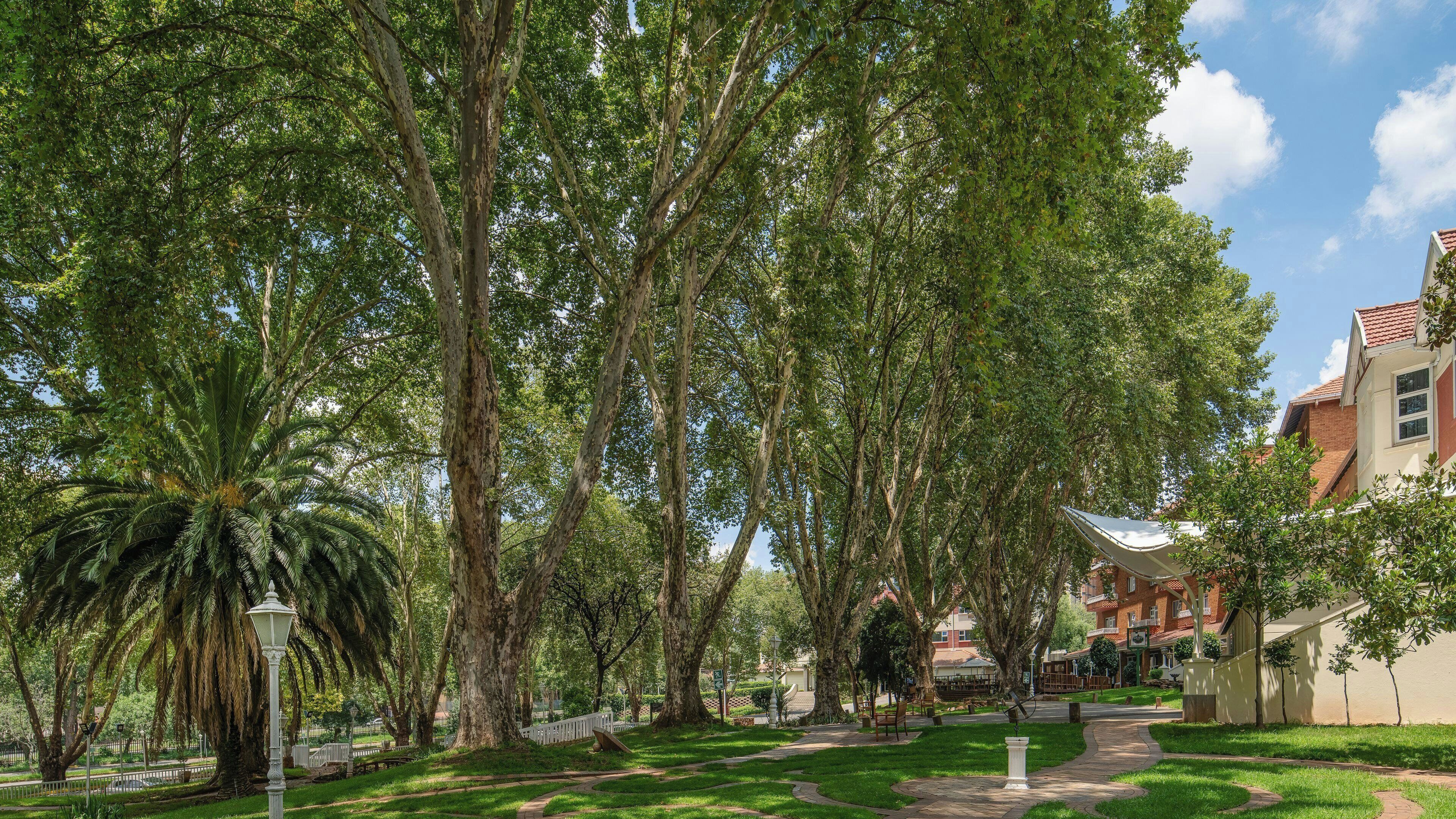 Un parque con senderos, árboles y un edificio al fondo.