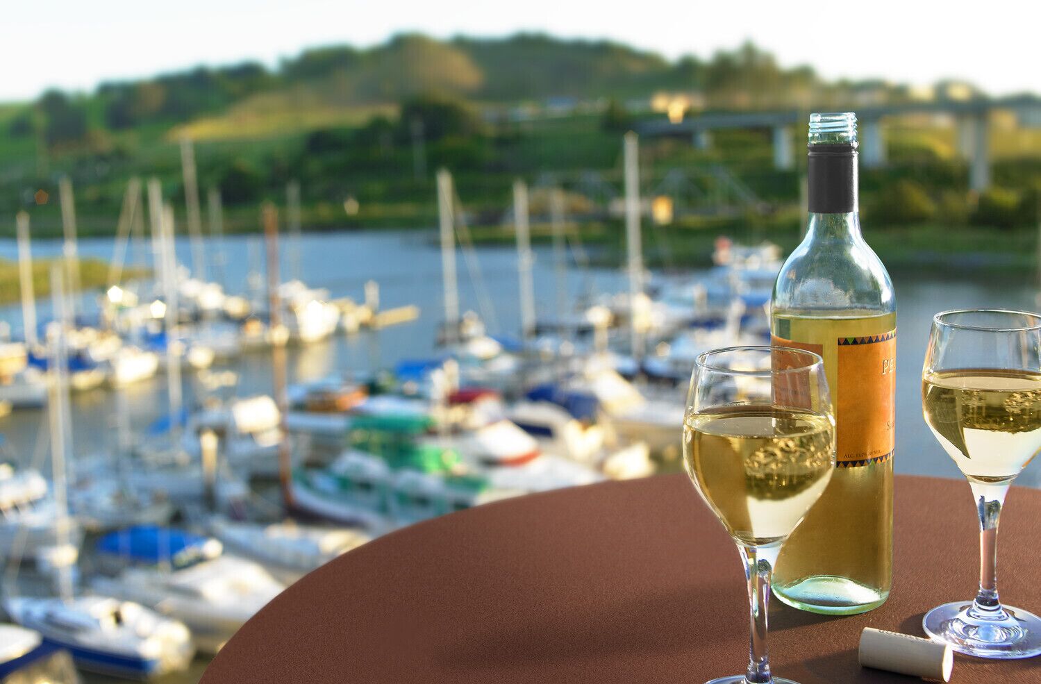 Photo - Sheraton Sonoma Wine Country Petaluma