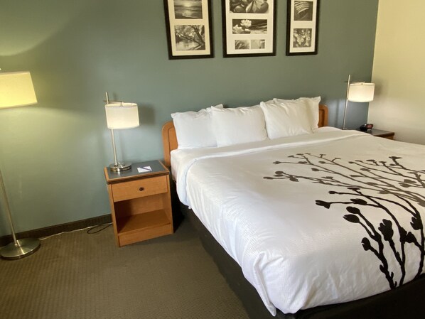 A hotel room with a bed, two bedside lamps, a nightstand, and a wall with framed pictures.