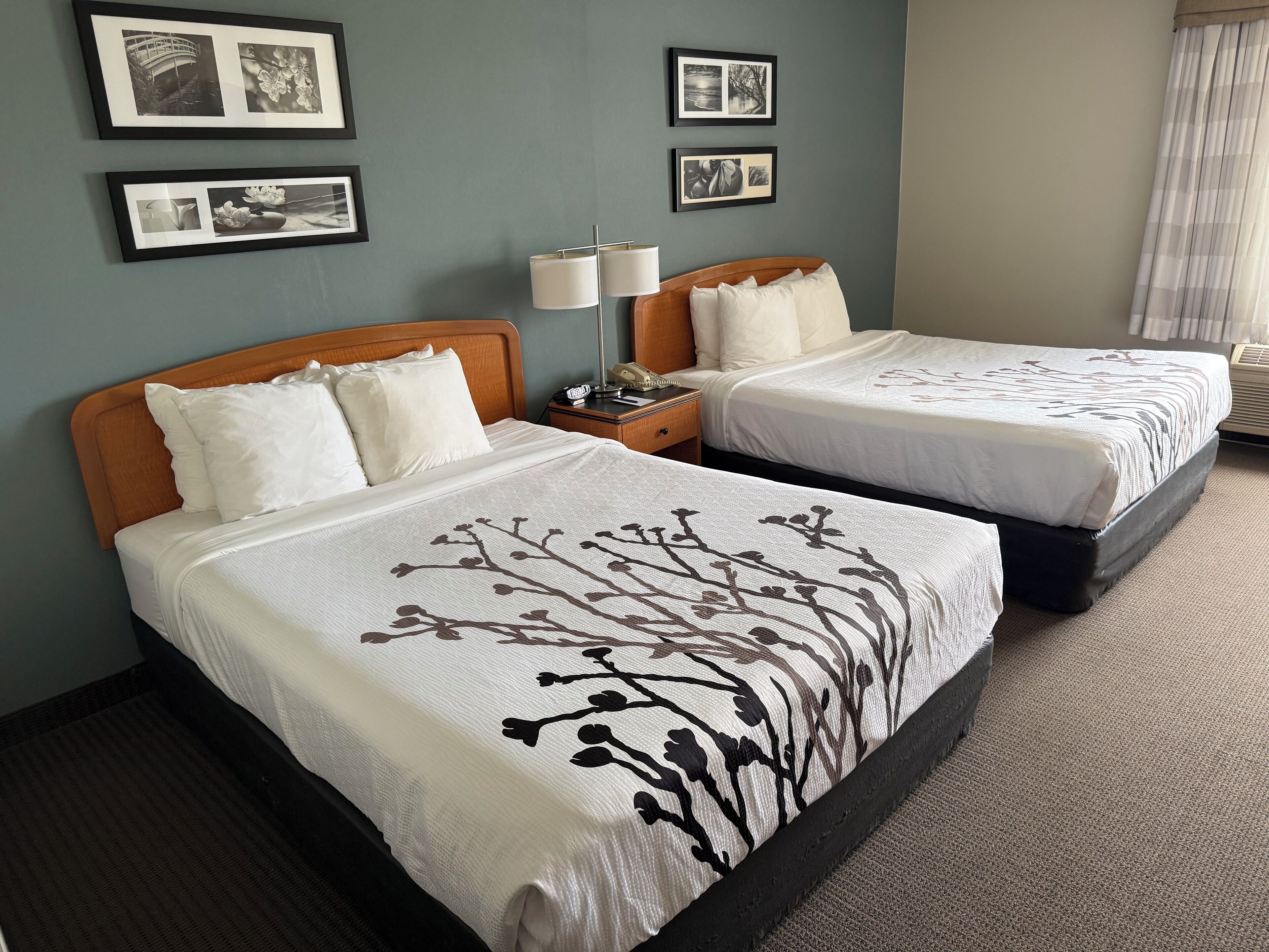 in-room safe, desk, iron/ironing board, free wifi