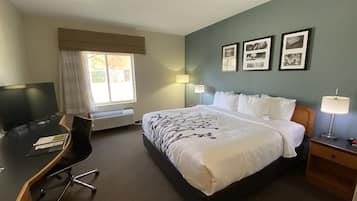 Una habitación de hotel con cama, escritorio, silla y televisión.