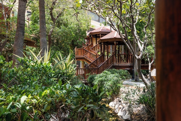 Un mirador de madera con escalera, rodeado de abundante vegetación y árboles.