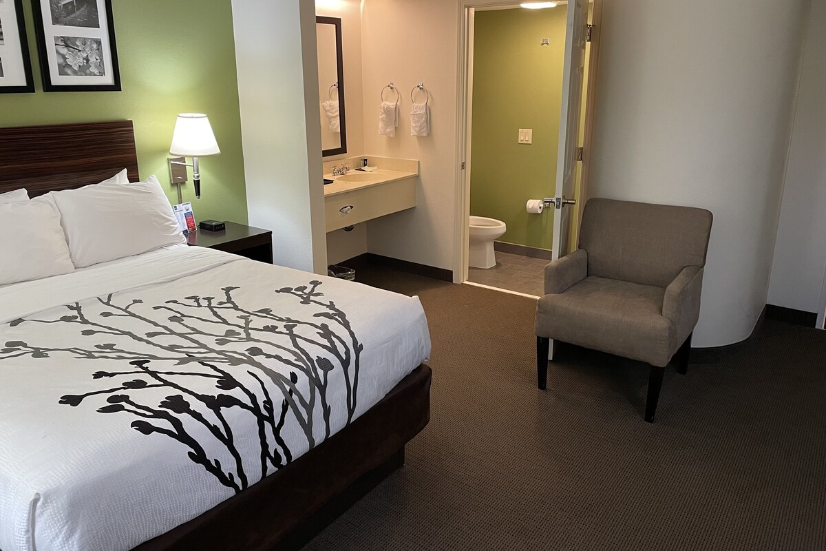 A hotel room with a bed, a chair, a bathroom with a toilet and sink, and a green wall.