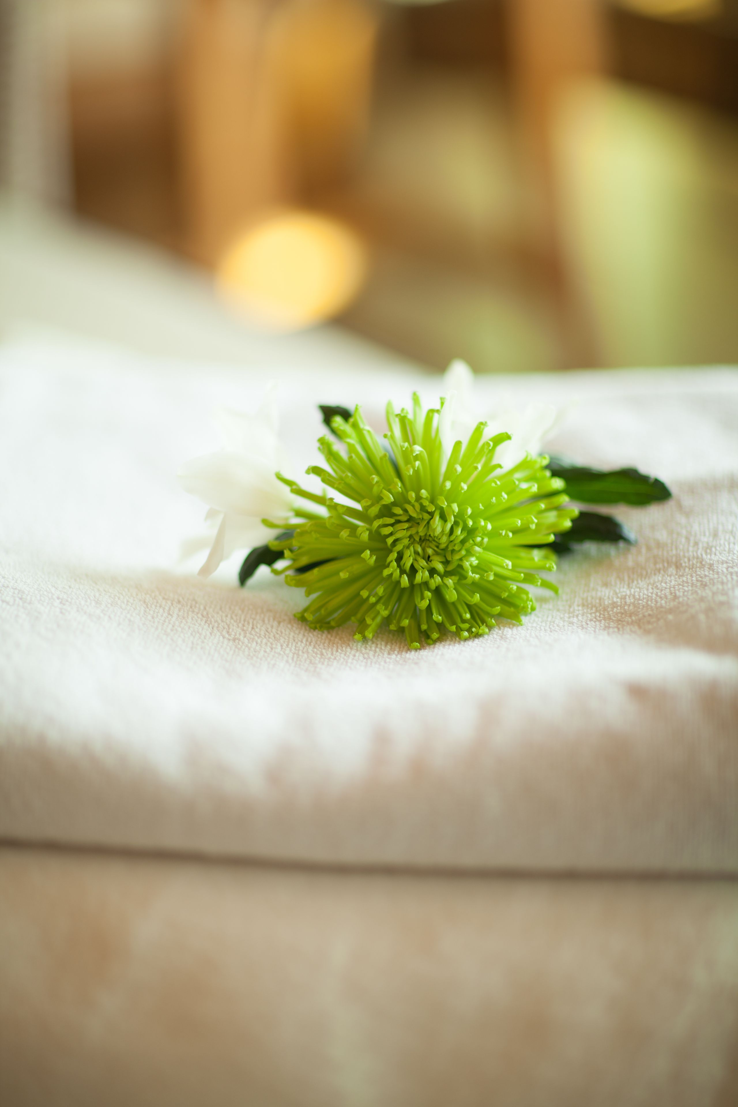 A close-up of a green and white flower on a white fabric surface.