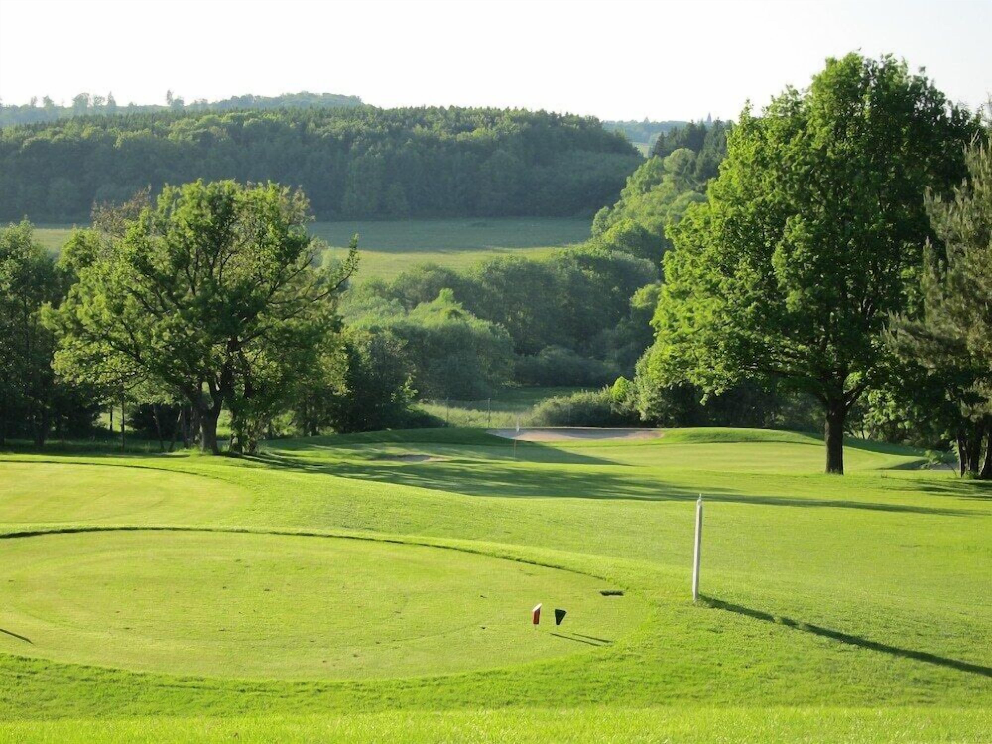 A golf course with a well-maintained green, trees, and a distant view of a forested area.