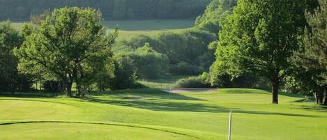A golf course with a well-maintained green, trees, and a distant view of a forested area.