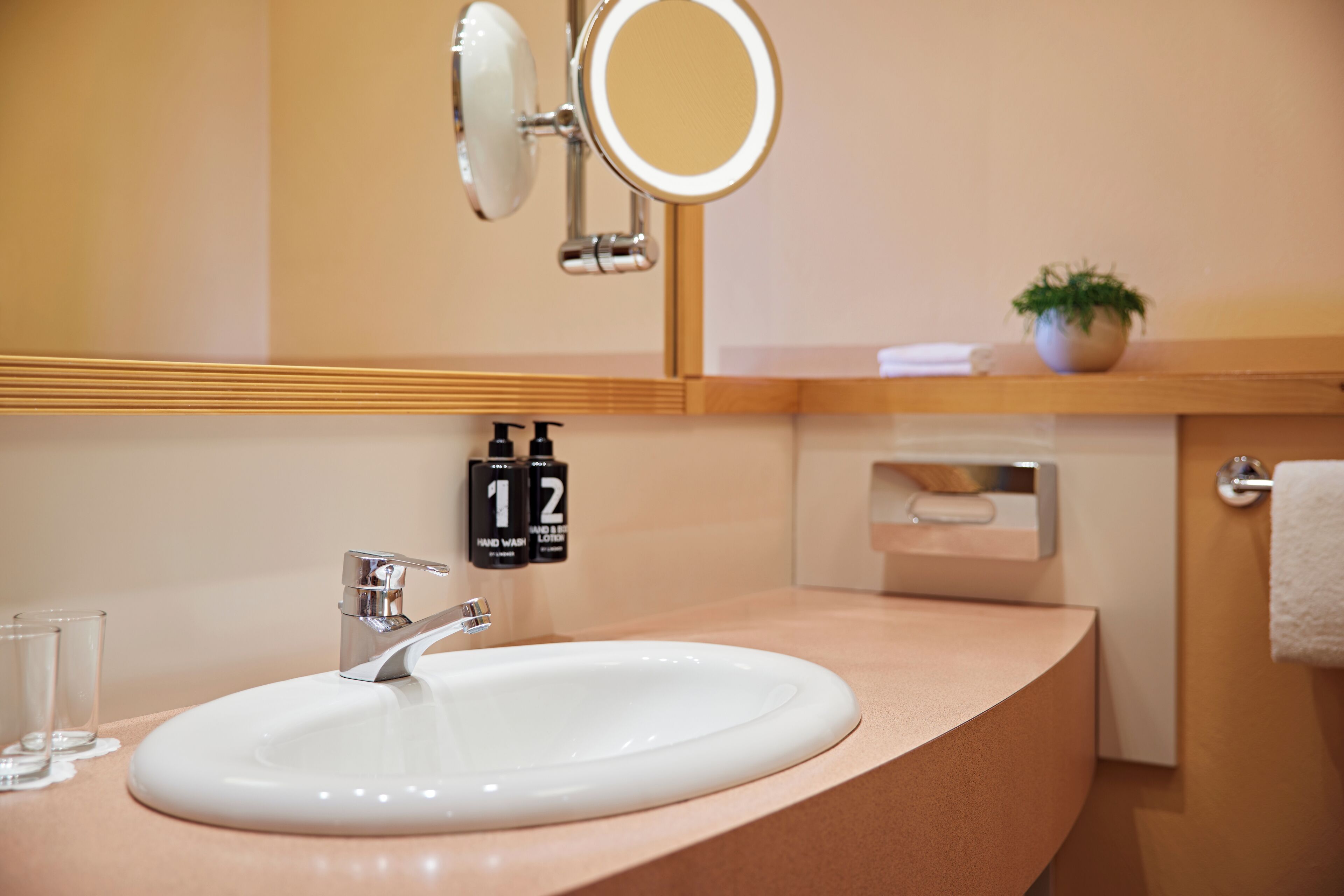 A bathroom with a white sink, a mirror, and a potted plant on the counter.