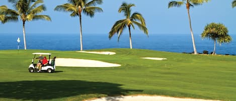 Un campo de golf con vistas despejadas al océano y palmeras.