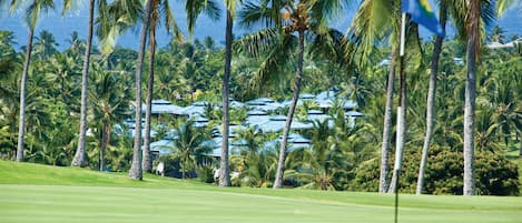 Campo de golf con una bandera, palmeras y un edificio al fondo.