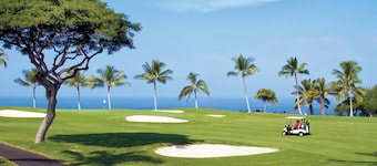Holua Resort