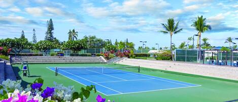 A tennis court with a green and blue surface, surrounded by a fence, and palm trees in the background.