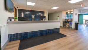 A clean reception area with a tiled backsplash, a reception desk, a trash can, and a small refrigerator stocked with beverages.