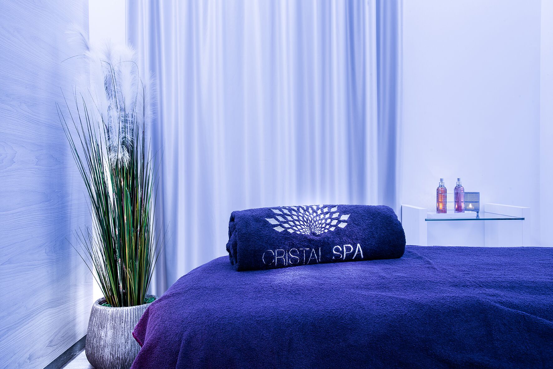 A spa room with a bed covered in a purple towel, a potted plant, and a small table with bottles.