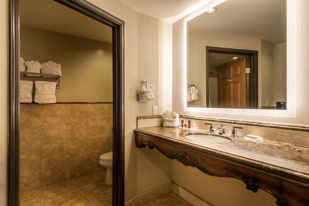 combined shower/bathtub, free toiletries, hair dryer, towels